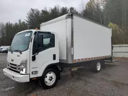 Salvage trucks for sale at Columbia Station, OH auction: 2023 Chevrolet 4500