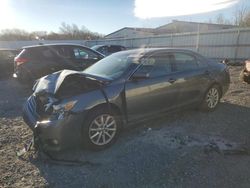 Salvage cars for sale at Albany, NY auction: 2011 Toyota Camry SE