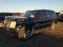 2004 Cadillac Escalade Luxury en venta en Elgin, IL