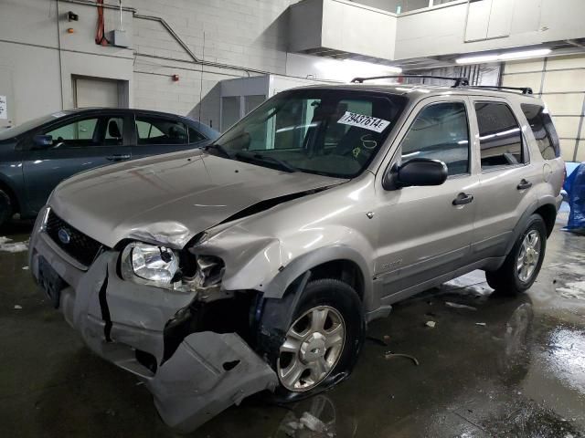 2001 Ford Escape XLT