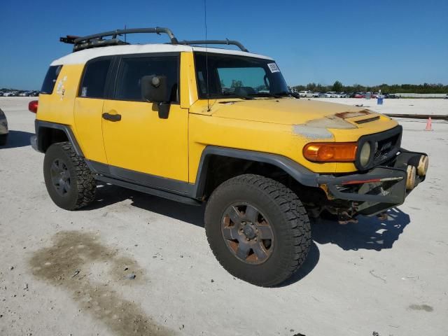 2007 Toyota FJ Cruiser