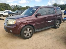 Salvage cars for sale at Theodore, AL auction: 2010 Honda Pilot EXL