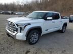 2024 Toyota Tundra Crewmax Platinum