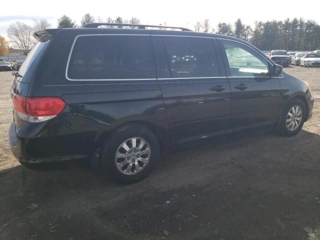 2008 Honda Odyssey EXL