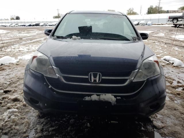 2010 Honda CR-V EXL