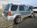 2005 Ford Escape HEV