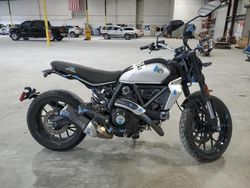 2024 Ducati Scrambler Icon en venta en Jacksonville, FL