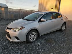 Salvage cars for sale from Copart Elmsdale, NS: 2014 Toyota Corolla L