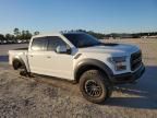 2019 Ford F150 Raptor