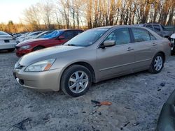 2005 Honda Accord EX en venta en Candia, NH