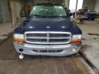 2004 Dodge Dakota Quad SLT