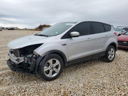 Salvage cars for sale at Taylor, TX auction: 2014 Ford Escape SE