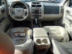 2008 Ford Escape HEV