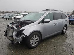 Salvage cars for sale at Antelope, CA auction: 2016 Honda Odyssey EX