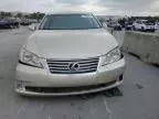 2011 Lexus ES 350