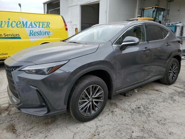 2024 Lexus NX 250 Premium