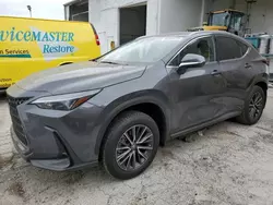 Salvage cars for sale at Riverview, FL auction: 2024 Lexus NX 250 Premium