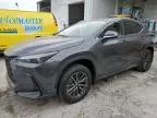 2024 Lexus NX 250 Premium