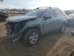 Salvage cars for sale at San Martin, CA auction: 2021 Toyota Rav4 XLE