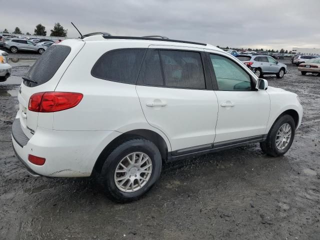 2007 Hyundai Santa FE GLS