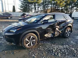 Salvage cars for sale from Copart Windsor, NJ: 2021 Lexus NX 300 Base