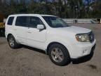 2009 Honda Pilot EXL