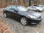 2008 Honda Accord EX