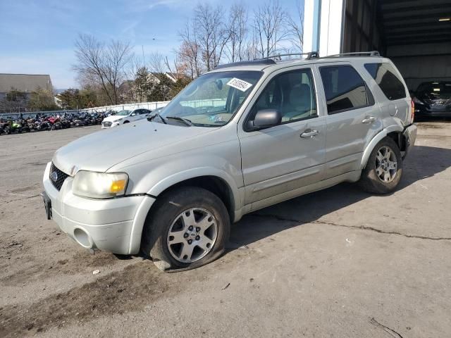 2005 Ford Escape Limited