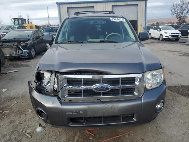 2009 Ford Escape XLT