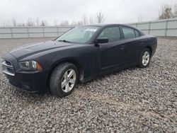 Dodge Vehiculos salvage en venta: 2014 Dodge Charger SE