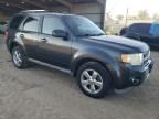 2009 Ford Escape Limited