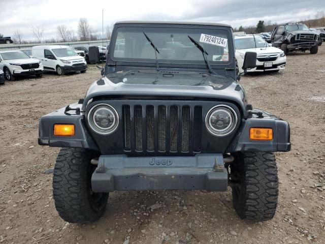 2000 Jeep Wrangler / TJ Sahara