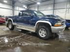 2002 Dodge Dakota SLT