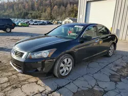 Honda Accord Vehiculos salvage en venta: 2009 Honda Accord EXL