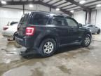 2008 Ford Escape Limited