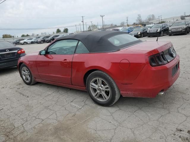 2013 Ford Mustang