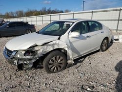 Honda Accord exl salvage cars for sale: 2013 Honda Accord EXL