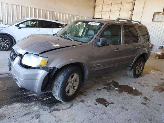 2007 Ford Escape HEV