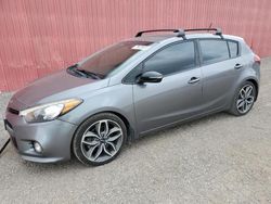 Salvage Cars with No Bids Yet For Sale at auction: 2016 KIA Forte SX