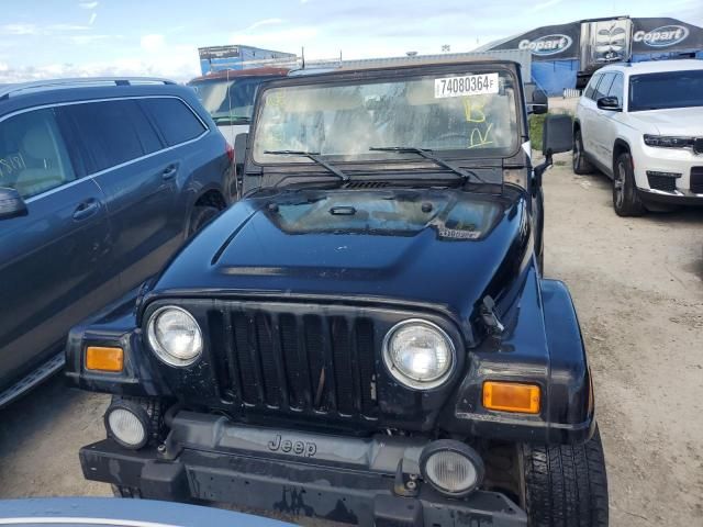 2002 Jeep Wrangler / TJ Sahara