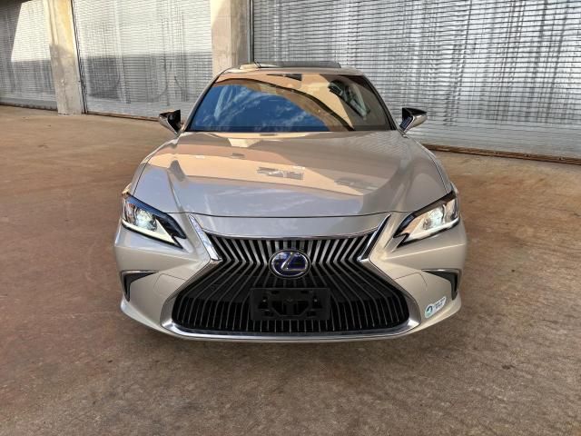 2019 Lexus ES 300H