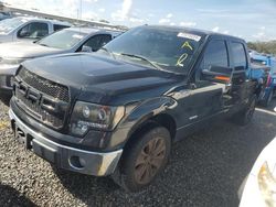 Ford salvage cars for sale: 2013 Ford F150 Supercrew