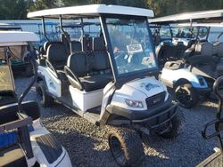 2021 Aspt Golf Cart en venta en Riverview, FL