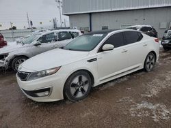 Salvage cars for sale at Colorado Springs, CO auction: 2013 KIA Optima Hybrid