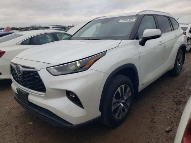 2023 Toyota Highlander Hybrid XLE