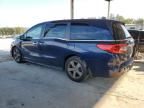 2019 Honda Odyssey EXL