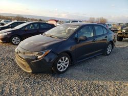 Toyota Corolla le salvage cars for sale: 2024 Toyota Corolla LE