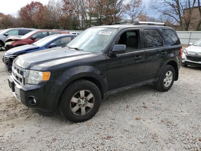 2010 Ford Escape Limited