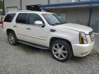 2007 Cadillac Escalade Luxury