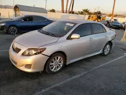 Toyota Corolla salvage cars for sale: 2010 Toyota Corolla Base